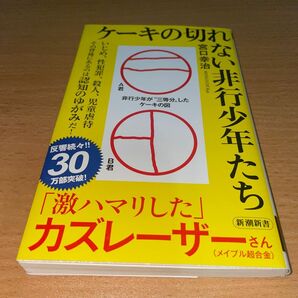 ケーキの切れない非行少年たち 宮口幸治 小説