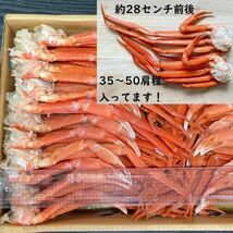 【訳あり！大特価！】　北海道産　紅ずわい肩　約36～50肩（5㎏）入れ　Sサイズ　ズワイ蟹　ずわい　コロナ応援　冷凍_画像4