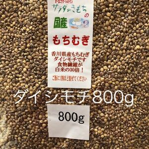 国産もち麦800g食べやすい15％精麦