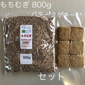 国産もち麦800gバタークッキー