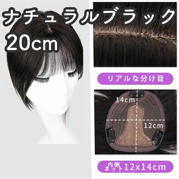 人毛100% 部分ウィッグ ヘアピース 頭頂部 ナチュラルブラック【20cm】