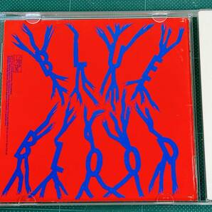 【CD|セル盤】X エックス  / BLUE BLOOD 1989/04/21 32DH-5224 4988009589060の画像4