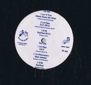 US盤 12inch Various / The Southpaw EP / Lord Digga Masta AseThe Widowmakers Ill Bill none