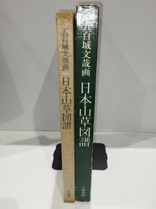 【希少】日本山草図譜　五百城文哉画　解説 大場秀章/植物画/ボタニカルアート【ac04i】