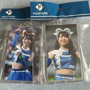 北海道日本ハムファイターズ ファイターズガール 塩澤美咲 フォトキーホルダー 2点セット 未使用