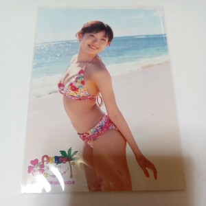 AKB48 海外旅行日記~ハワイはハワイ~封入特典生写真　渡辺美優紀17