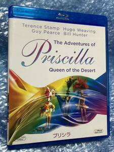 プリシラ('94オーストラリア)　Blu-ray　ブルーレイ