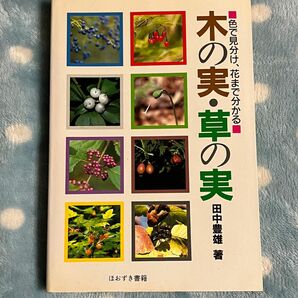 木の実・草の実／田中豊雄／ほおずき書籍／図鑑