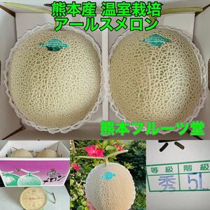 見た目、味抜群！熊本産 アールスメロン【秀品2玉5L約4.7k箱込】熊本フルーツ堂11