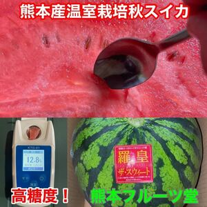 大人気生産者！希少な『絶品秋スイカ』熊本産【羅皇】2Lサイズ秀品（1玉7〜8kg）熊本フルーツ堂27