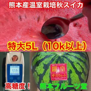 【秀品】大人気生産者！希少な『絶品秋スイカ』熊本産【羅皇】特大5Lサイズ（1玉10kg以上）熊本フルーツ堂26