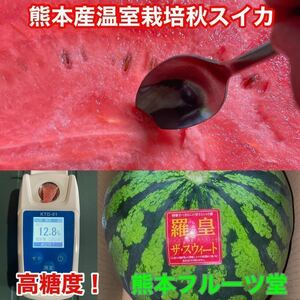 【秀品】大人気生産者！希少な『絶品秋スイカ』熊本産【羅皇】2Lサイズ（1玉7〜8kg）熊本フルーツ堂39