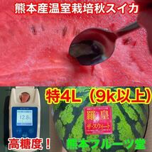 カウントダウン！【秀品】大人気生産者！希少な『絶品秋スイカ』熊本産【羅皇】4Lサイズ（1玉9kg以上）熊本フルーツ堂38_画像2