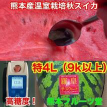 カウントダウン！【秀品】大人気生産者！希少な『絶品秋スイカ』熊本産【羅皇】4Lサイズ（1玉9kg以上）熊本フルーツ堂39_画像2