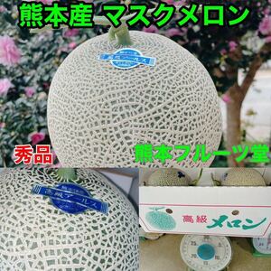 贈答品！熊本産 アールスメロン【秀品2玉5L約5.2k箱込】熊本フルーツ堂15