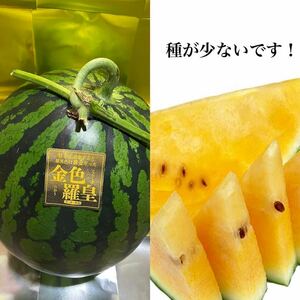 超レア！大玉スイカの最高傑作【金色羅皇】2Lサイズ（7〜8kg）熊本植木産 熊本フルーツ堂22