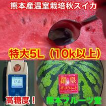 カウントダウン！【秀品】大人気生産者！希少な『絶品秋スイカ』熊本産【羅皇】5Lサイズ（1玉10kg以上）熊本フルーツ堂39_画像7