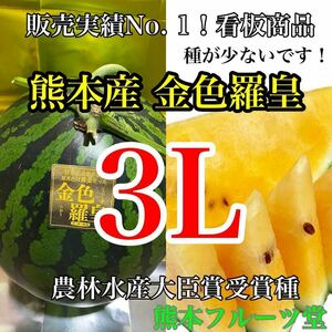 甘くてシャキシャキ！大玉スイカの最高傑作【金色羅皇】3Lサイズ（8kg以上）熊本植木産 熊本フルーツ堂40