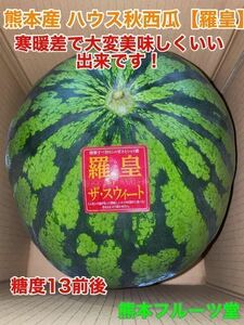 大人気生産者！希少な『絶品秋スイカ』熊本産【羅皇】2Lサイズ（1玉7〜8kg）熊本フルーツ堂27