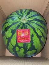 【秀品】大人気生産者！希少な『絶品秋スイカ』熊本産【羅皇】2Lサイズ（1玉7〜8kg）熊本フルーツ堂26_画像4