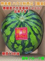 【秀品】大人気生産者！希少な『絶品秋スイカ』熊本産【羅皇】2Lサイズ（1玉7〜8kg）熊本フルーツ堂39_画像2