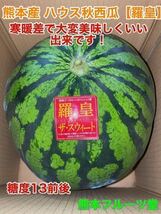 カウントダウン！【秀品】大人気生産者！希少な『絶品秋スイカ』熊本産【羅皇】4Lサイズ（1玉9kg以上）熊本フルーツ堂39_画像3