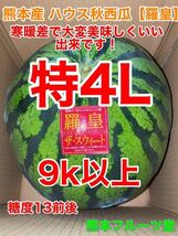 カウントダウン！【秀品】大人気生産者！希少な『絶品秋スイカ』熊本産【羅皇】4Lサイズ（1玉9kg以上）熊本フルーツ堂42_画像1