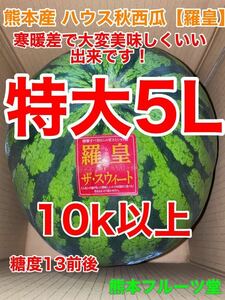 カウントダウン！【秀品】大人気生産者！希少な『絶品秋スイカ』熊本産【羅皇】5Lサイズ（1玉10kg以上）熊本フルーツ堂42