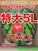 カウントダウン！大人気生産者！希少な『絶品秋スイカ』熊本産【羅皇】5Lサイズ優品（1玉10kg以上）熊本フルーツ堂39_画像1