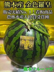 カウントダウン！大玉スイカの最高傑作【金色羅皇】3Lサイズ（8kg以上）熊本植木産 熊本フルーツ堂37