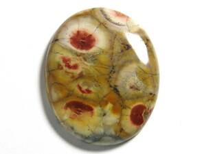 ●バードアイ・ジャスパー（Bird Eye Jasper）　　№339/1021