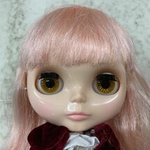 1円〜 箱無 Blythe ブライス ステラサバンナ_画像3