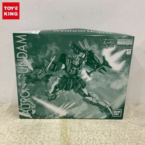 1円〜 MG 1/100 新機動戦記ガンダムW Endless Waltz アルトロンガンダムEW