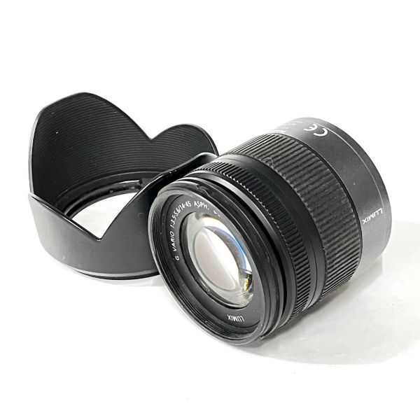 美品】パナソニック Panasonic Lumix DMC-GF3 + G VARIO 14-45mm F3.5