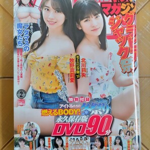 月刊ヤングマガジン　2021年2月6日号・牧野真莉愛　北川莉央(モーニング娘)・DVD(沢口愛華・寺本莉緒・豊田ルナ・新谷真由・ミスマガ　他)