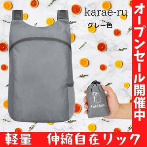 エコリック エコバック おりたみリック お買い物リック 旅行用リック グレー 折りたたみ 街歩き 大容量 持ち運び ボール入れ