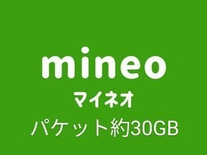 【在庫ラスト】【迅速対応】mineoマイネオ パケットギフト30GB　