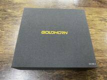 GOLDHORN ゴールドホルン　デジタルプレーヤー　『G3 SEⅡ』通電のみ　コントローラ付き　超美品！！_画像8