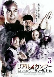 リアル・カンフー 佛山詠春伝 3 レンタル落ち 中古 DVD ケース無