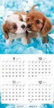 2023/9/16発売予定! キャバリア PICTWAN (ピクトワン) カレンダー DOG 【S版】 2024年カレンダー24CL-50035S_画像4