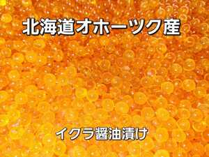 いくら 鮭　いくら醤油漬け 北海道産　3kg　クール便　冷凍　オマケ付き