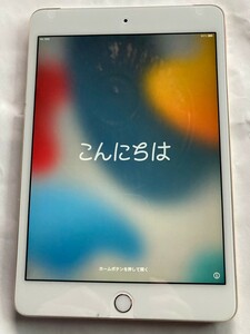 iPad mini4 Wi Fi 16GB Apple 美品