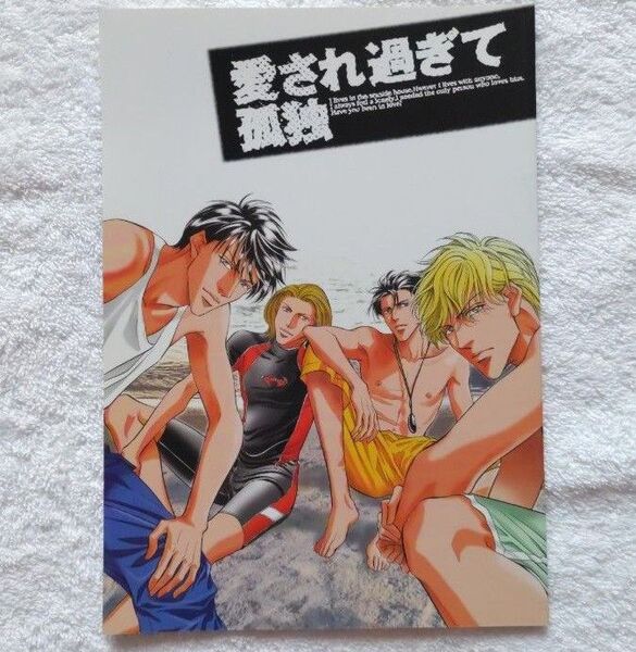 愛され過ぎて孤独 剛しいら 新田祐克 小説 小冊子 BL