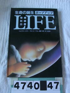 b4740　 生命の誕生 ポップアップ 受精 妊娠 出産 LIFE