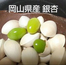 （令和5年）2023年 岡山県産 銀杏 ぎんなん 850g サイズ 無選別 栽培期間中 農薬・化学肥料・除草剤不使用 ④_画像1