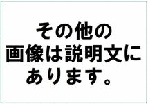 S175【3㎝クロネコ発送】未使用 韓国 切手 アルバム 本 スタンプ 第20回オリンピック大会 大韓民国逓信部 等 記念 外国 海外_画像10