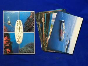 CK1563c*[ открытка с видом ] [ пара .*. мир море море средний парк ] с футляром 16 шт. комплект san ..../ Ferrie / Kochi ./ багряник японский ./ женщина дайвер / Showa Retro 