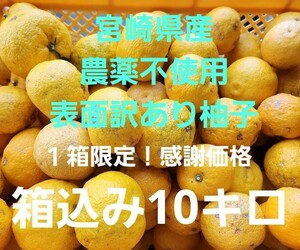 一箱限定！感謝価格！表面訳あり　宮崎県産　農薬不使用　福じいちゃんの柚子　サイズ混合　箱込み約10キロ