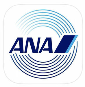 ANA 39000マイル クレカOK 希望口座に加算