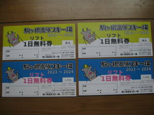 駒ケ根高原スキー場　2024　大人リフト1日引換券×2枚と子供リフト1日引換券×2枚